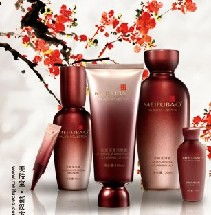 美膚寶化妝品: 加盟店策略與計算機(jī)網(wǎng)絡(luò)技術(shù)開發(fā)的融合