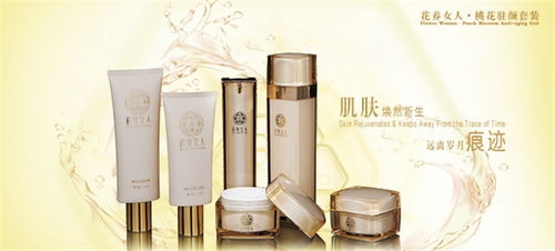 大真堂化妝品線上化之路 產(chǎn)品展示與店鋪裝修的計算機(jī)網(wǎng)絡(luò)技術(shù)開發(fā)